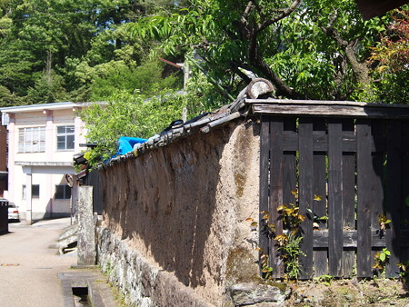 P5042901