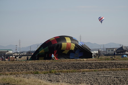 DSC00354 (1)