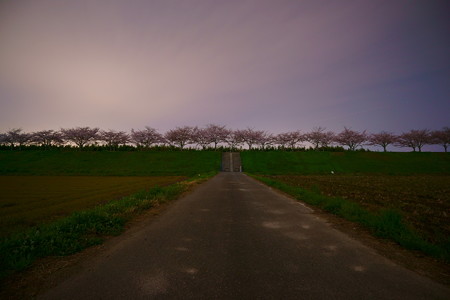 DSC09889(r1)