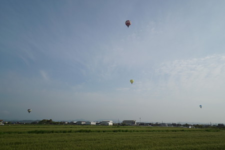DSC08603