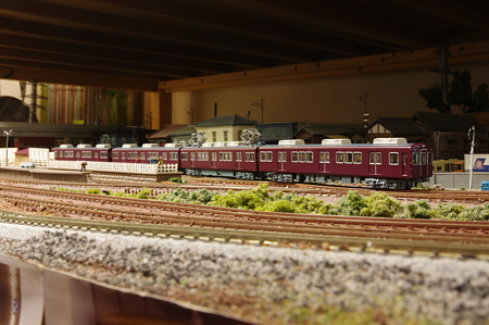 IMGP3962