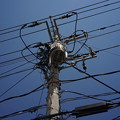 DSC02442