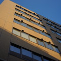 DSC02488