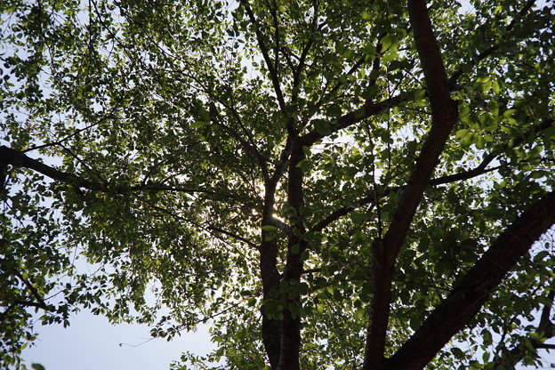 DSC02551