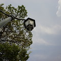DSC02847