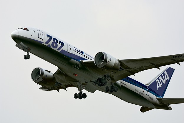 JA818A Boeing787-8