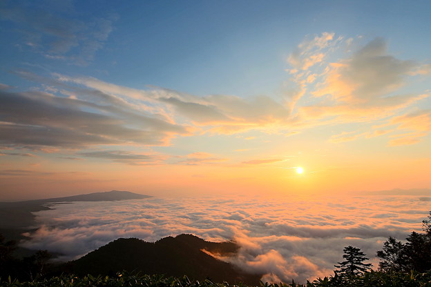 写真: IMG_6294