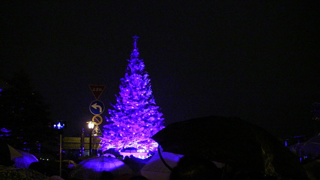 2015　函館クリスマスファンタジー点灯式4