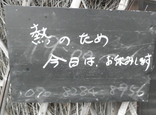 正直者の店