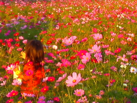 おはなも、ゆれる。