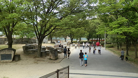 P6030504