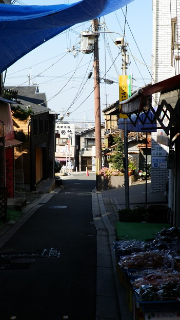P9288366