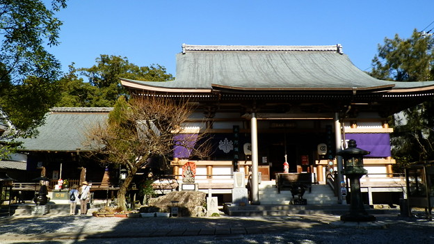 P1012556