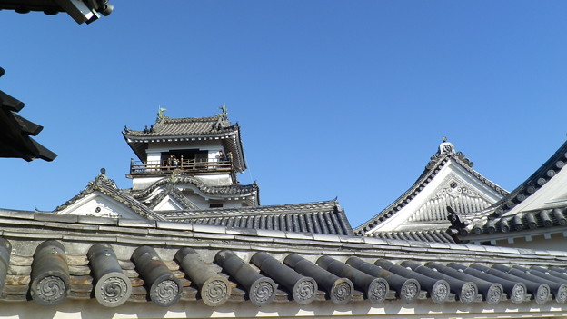 P1012704