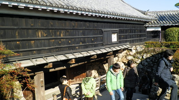 P1012671