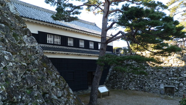 P1012707