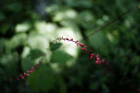 _DSC8626