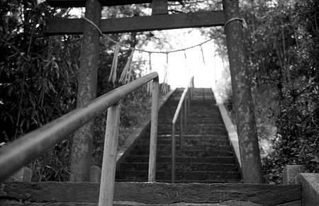 Image1413（MAMIYA 35S）