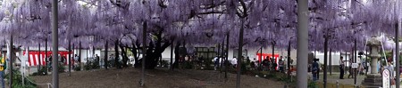 0423-ふじまつり2