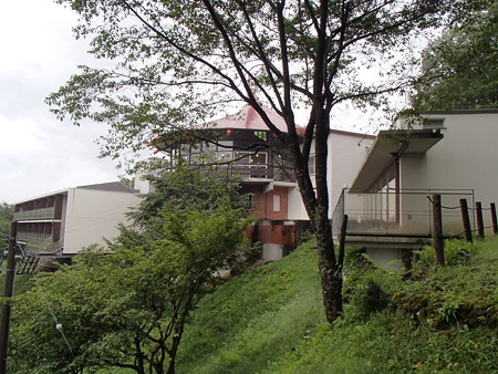 P8284239