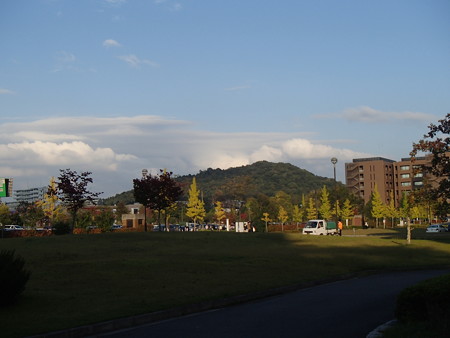 PA254359