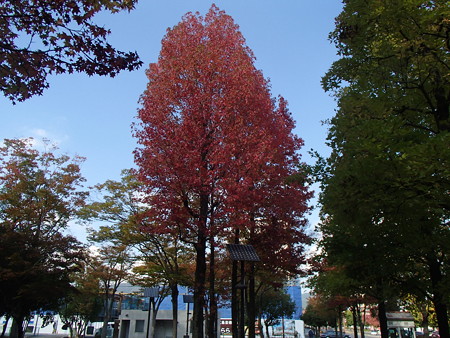 PA254352