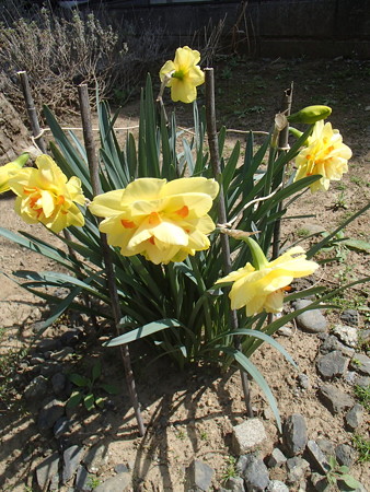 P3290417