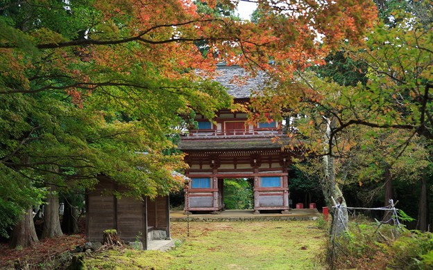 光明寺(君尾山)08