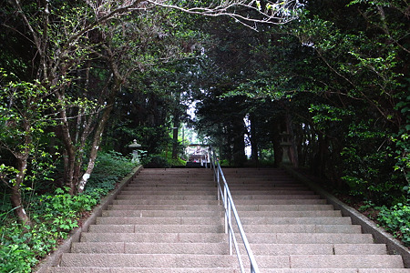 RIMG0786