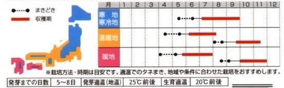 つるありインゲン種まき時期 写真共有サイト フォト蔵