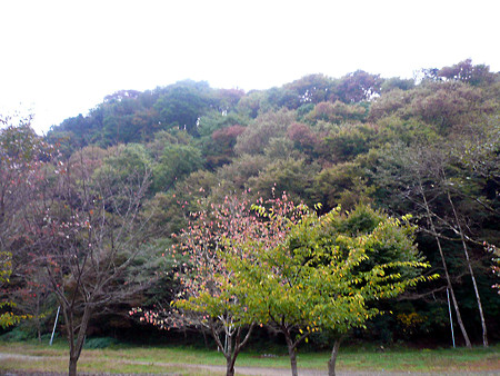P1010968