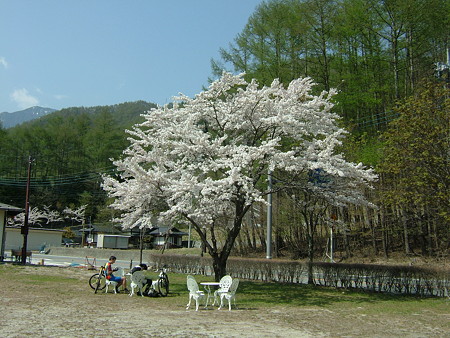 DSCF2673