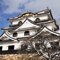 彦根城