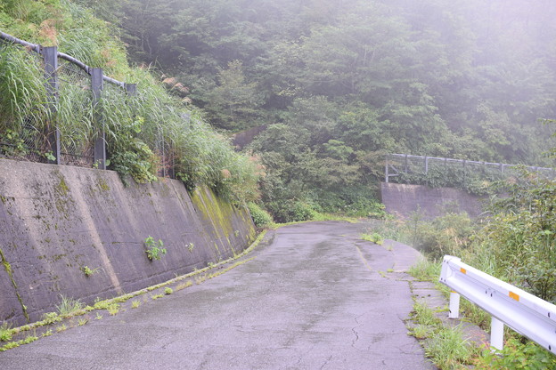 国道157号線