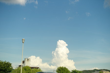 L1004123