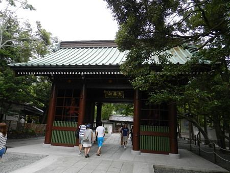 DSCN2461