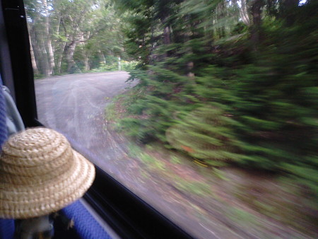 レン:「まさに大自然の原生林だなあ。道も狭いし。向こうから車来た...