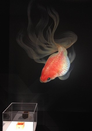 金魚酒_08