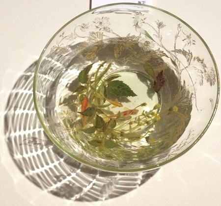 金魚酒_33