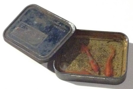 金魚酒_39