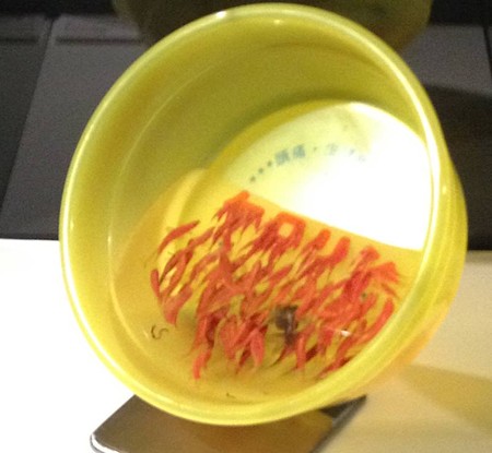 金魚酒_45