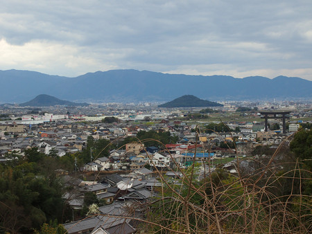 大美和の杜展望台