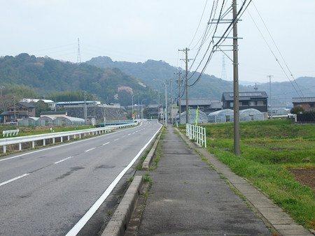 西幡豆