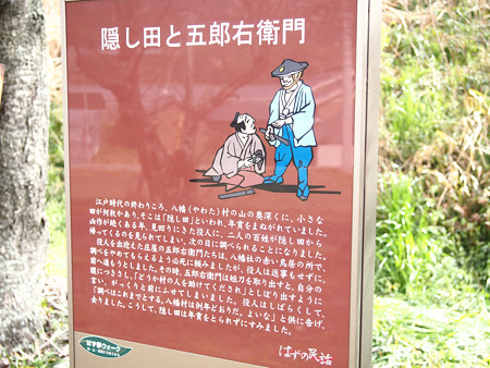 西幡豆