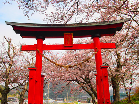 西幡豆