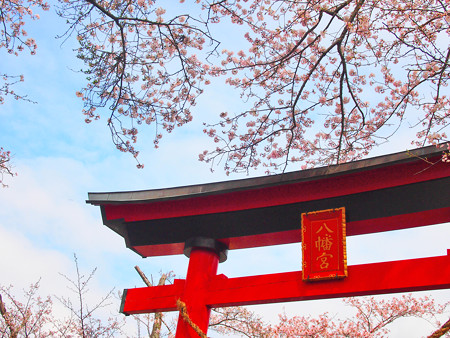 西幡豆