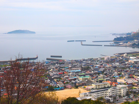 西幡豆