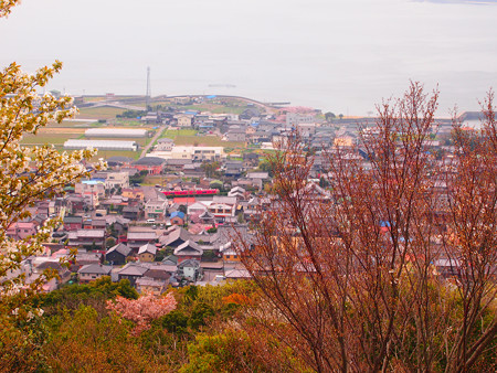 西幡豆