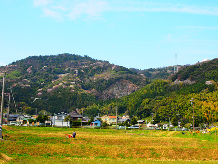 東幡豆