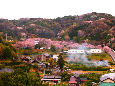 こどもの国